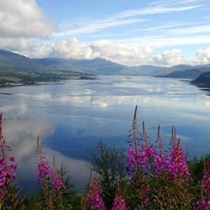 Meet your Posher, Jean